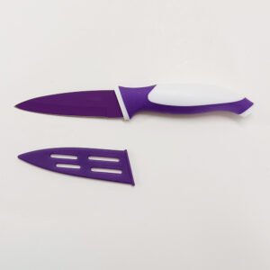 Stainless Steel Paring Knife with Sheath