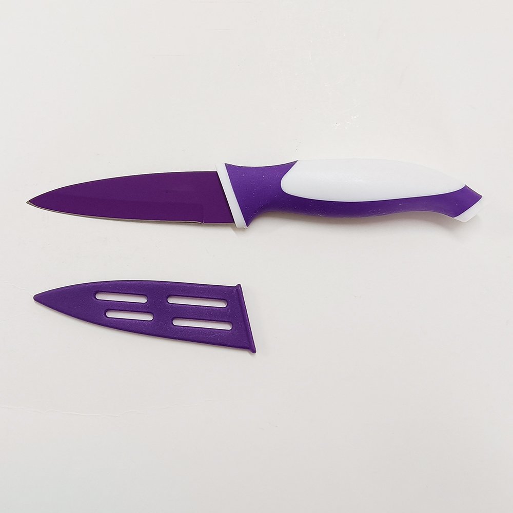 Stainless Steel Paring Knife with Sheath