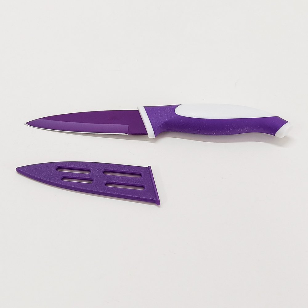 Stainless Steel Paring Knife with Sheath