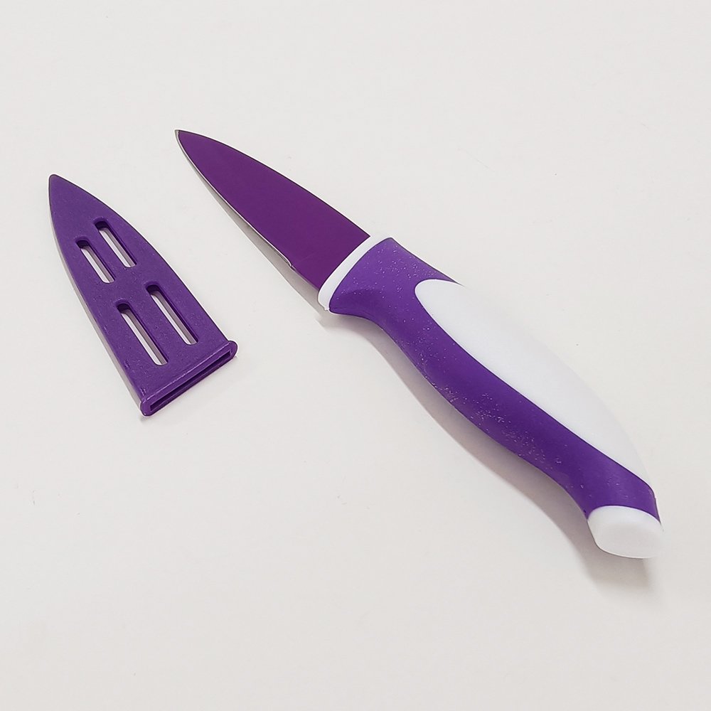 Stainless Steel Paring Knife with Sheath