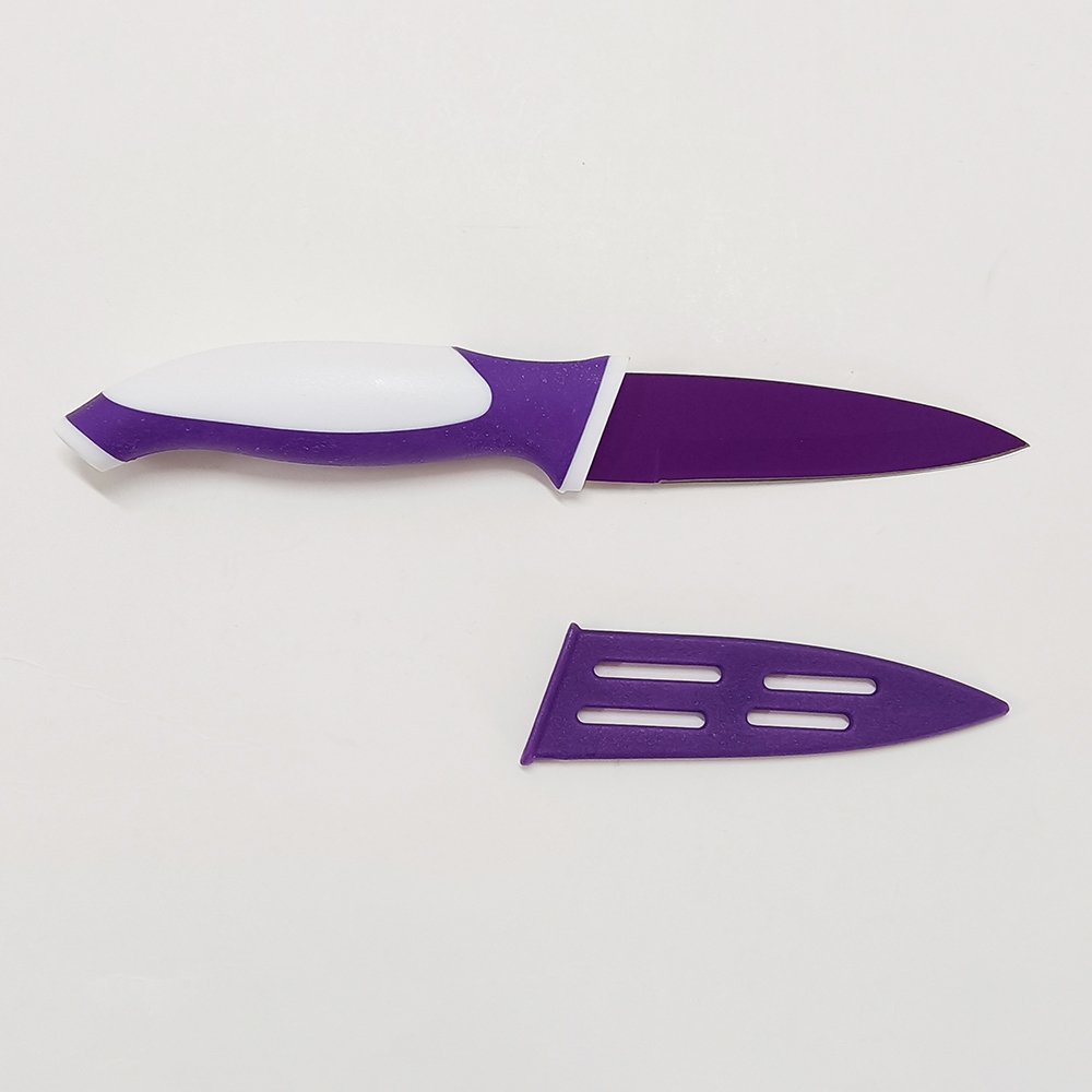 Stainless Steel Paring Knife with Sheath