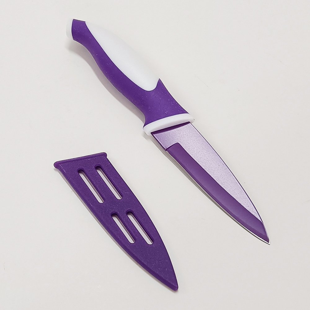 Stainless Steel Paring Knife with Sheath