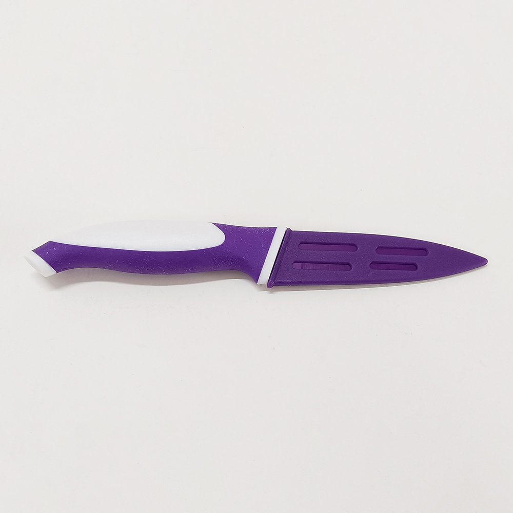 Stainless Steel Paring Knife with Sheath