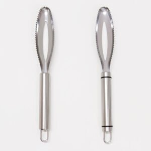 Stainless Steel Fish Scaler Remover Scraper