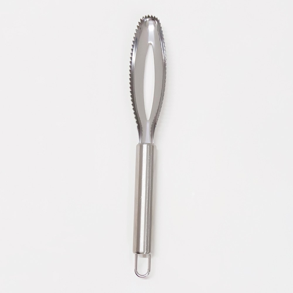 Stainless Steel Fish Scaler Remover Scraper