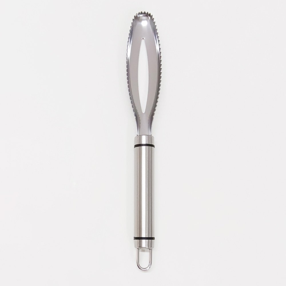 Stainless Steel Fish Scaler Remover Scraper