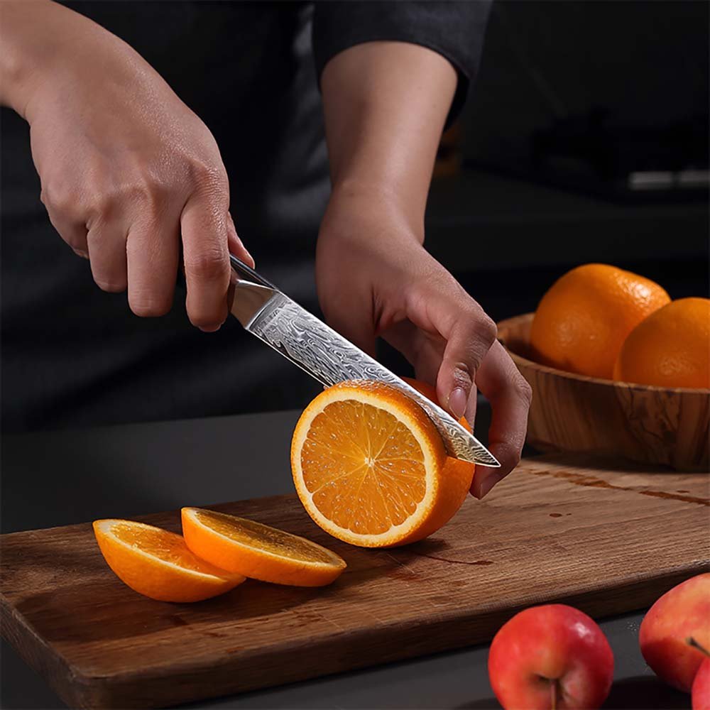 Artisan 67-Layer Damascus Set