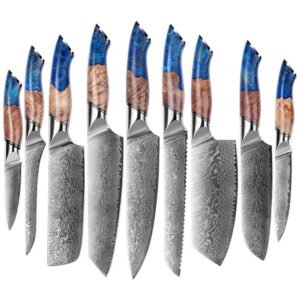 Professional Damascus Knife Set