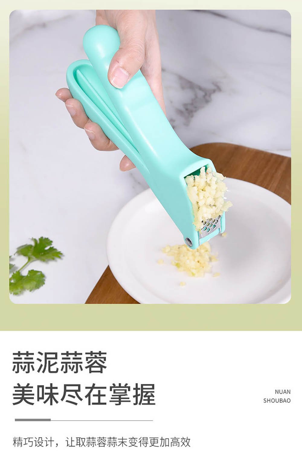 Manual Garlic Press