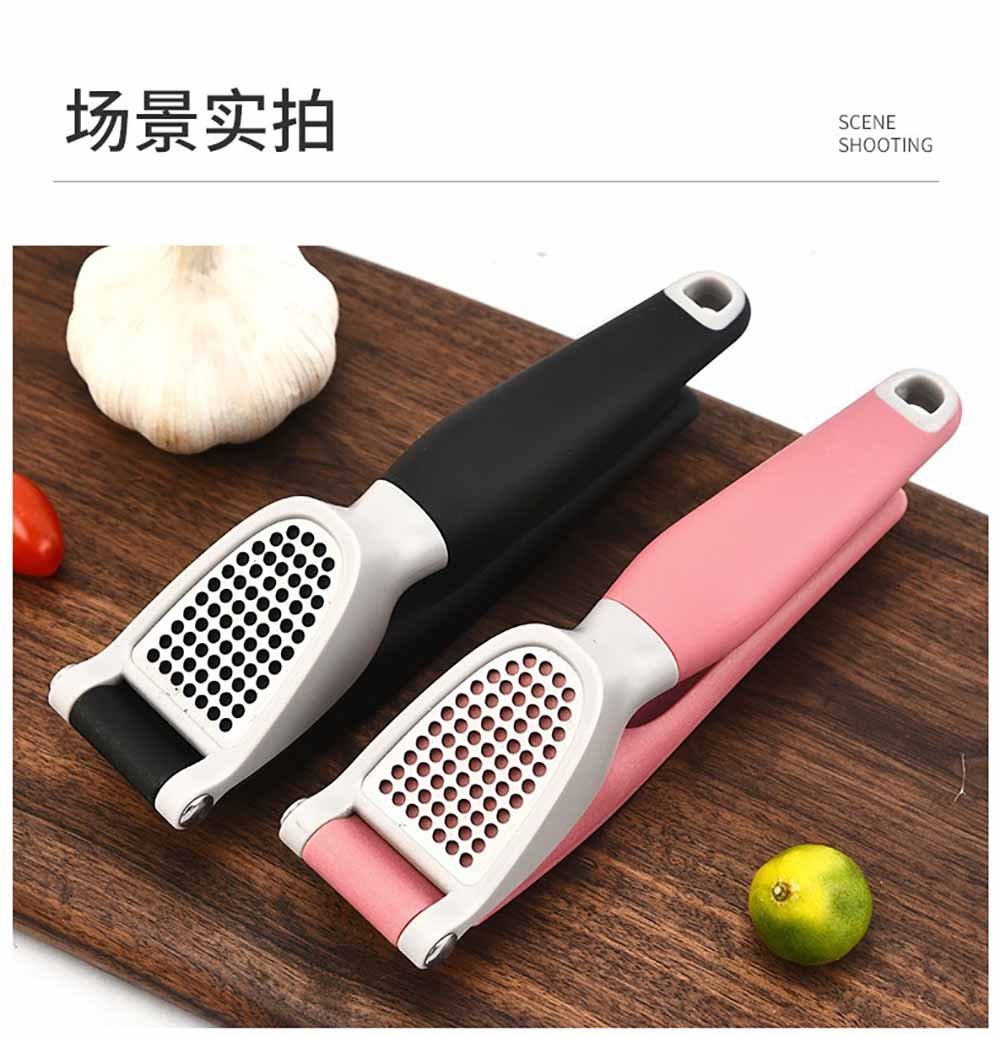 Stainless Steel Garlic Press with Ergonomic Handle